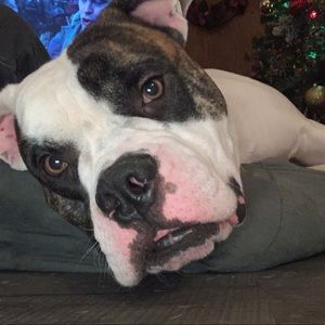 Meet your Posher, Mckenna